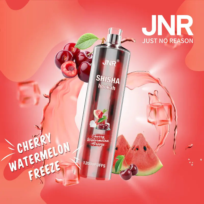 JNR Shisha 2% Disposable 12000 Puffs - Tobacco House JNR Shisha 2% Disposable 12000 Puffs - Tobacco House