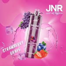 JNR Shisha 2% Disposable 12000 Puffs